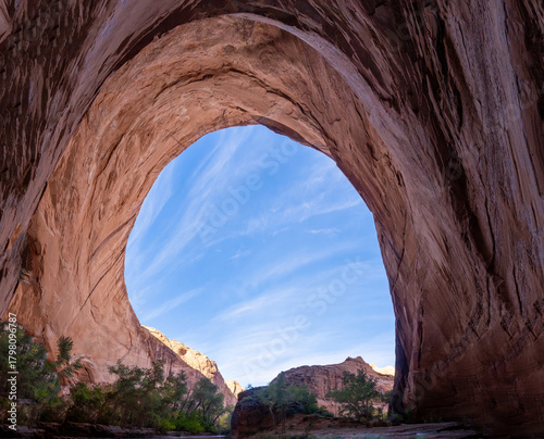 Εκτύπωση καμβά Massive sandstone alcove opening toward sunlit canyon in Coyote Gulch