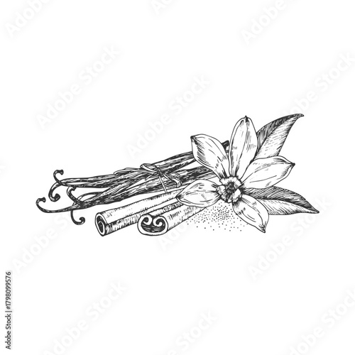 Vanilla and cinnamon hand-drawn vector illustration. Black and white flowers, pods, sticks isolated on a white background. Design elements for packaging of desserts, spices, and essential oils.