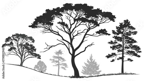 Landscape CAD Symbols, Trees, Plants, Shrubs & Rock Line Art for Architecture and Garden Plans