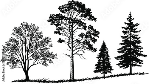 Landscape CAD Symbols, Trees, Plants, Shrubs & Rock Line Art for Architecture and Garden Plans