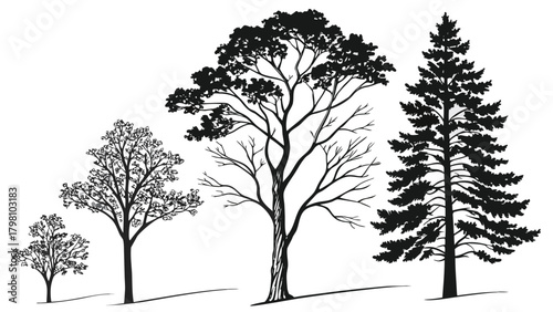 Landscape CAD Symbols, Trees, Plants, Shrubs & Rock Line Art for Architecture and Garden Plans