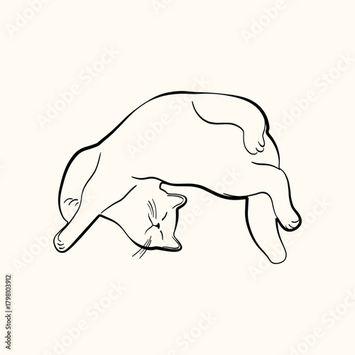 Whimsical doodle cat pose vector illustration. Cute kitten, hand drawn linear cat in different poses sitting, lying down, sleeping