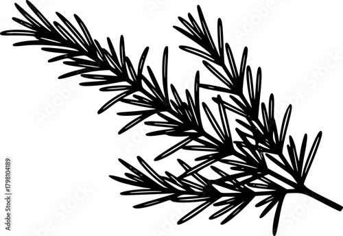 rosemary silhouette line art vector illustration with a white background
