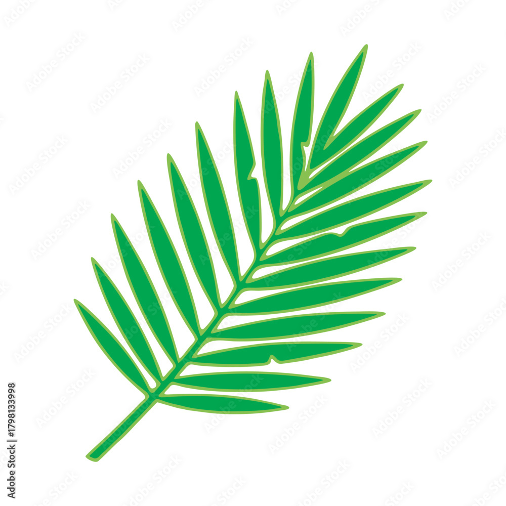 Fototapeta premium vector green leaf isolated on white