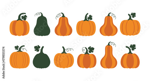 A colorful collection of various shaped pumpkins and gourds on a white background