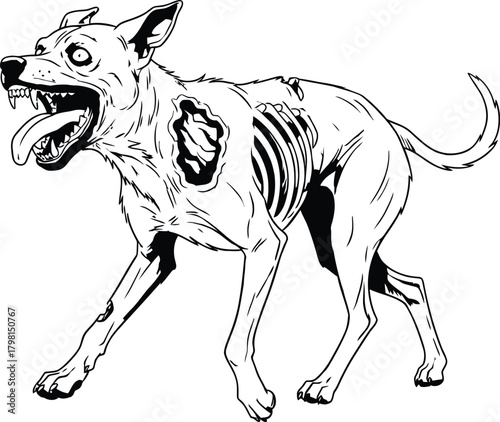 Feral undead canine illustration with exposed ribs, snarling mouth, and vacant eyes, captured in a menacing posture