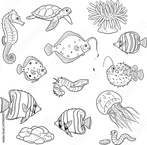 Outline collection of various ocean animals including fish, seahorse, turtle, and jellyfish, for coloring books