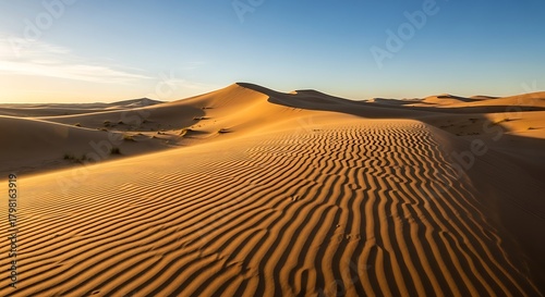 Fototapeta Naklejka Na Ścianę i Meble -  Golden Desert Sand Dunes Landscape at Sunrise in Morocco