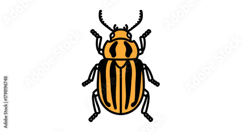 Striking vector illustration displaying the colorful striped potato beetle on a white background