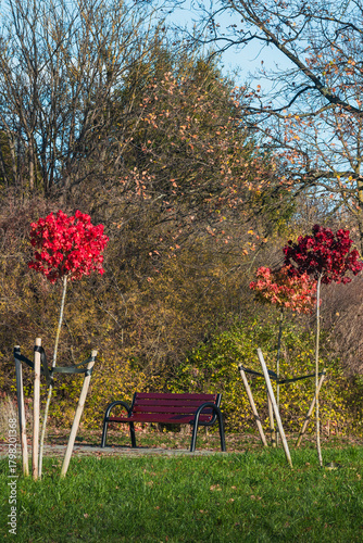  Autumn Park Bench With Red Trees
