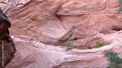 Sunlit red cliffs and green cottonwoods along the trail in Coyote Gulch