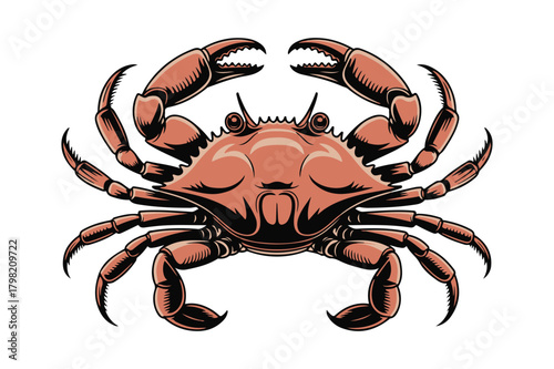 Detailed illustration of a fierce red crab with claws raised