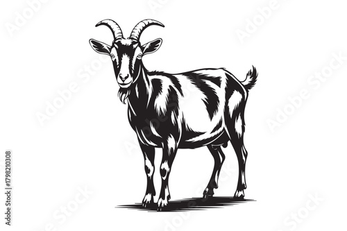 Black and white sketch of a standing goat with horns