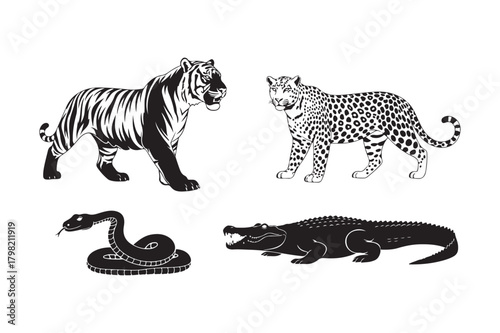 Silhouettes of a tiger leopard snake and crocodile on white background