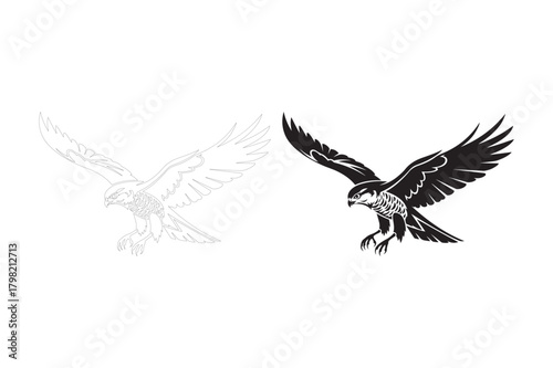 Detailed black and white illustration of a falcon in flight