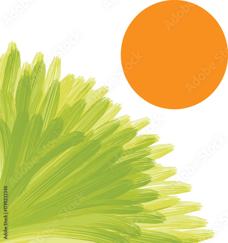 Grass with sun