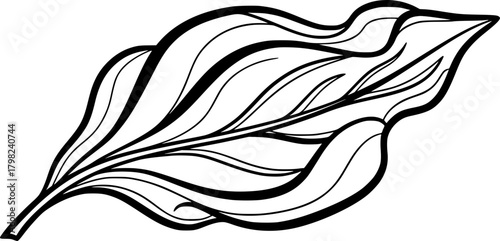 Line art illustration of a stylized leaf with intricate details  