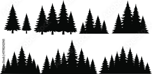 A collection of black pine tree silhouettes isolated on a white background. These vector forest elements are perfect for nature or Christmas designs