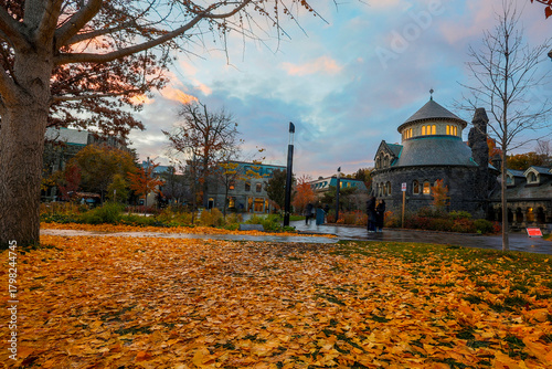 University of Toronto King's College with ginkgo tree leaves foreground