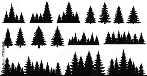 Collection of black silhouettes of various pine trees and fir trees against a white background