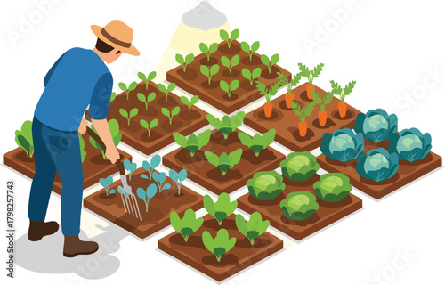 Isometric vector illustration of a farmer tending to vegetable garden beds, featuring crops like carrots, lettuce, and cabbage sprouts