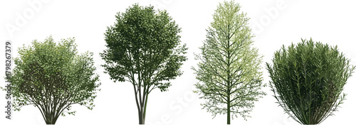 Assorted lush green deciduous trees and bushes, rendered and isolated on a white background, ideal for architectural landscaping, garden planning, and natural design projects