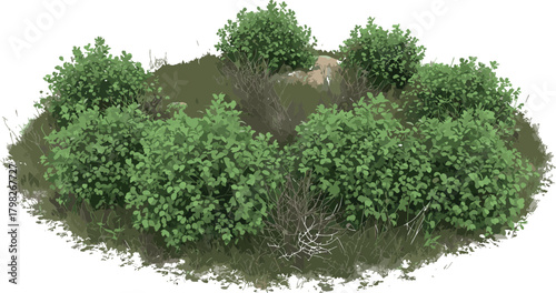 Lush green bushes with dense foliage and dry grass, a natural cluster ideal for landscape design and outdoor environment creation projects