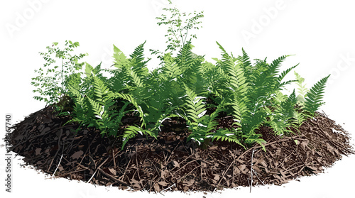 A vibrant island of green ferns and various small plants thrives within a dark, organic mulch bed, creating a natural and standalone landscaping element