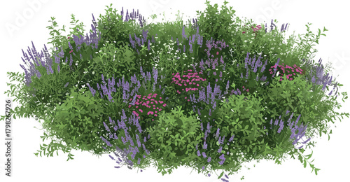 A vibrant cluster of blooming lavender and pink flowers surrounded by lush green foliage, creating a picturesque natural garden scene