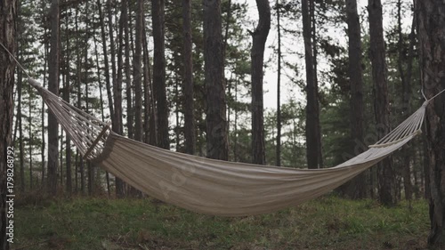 Empty hammock swinging gently in a pine forest