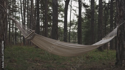 Empty hammock gently swinging in a calm pine forest