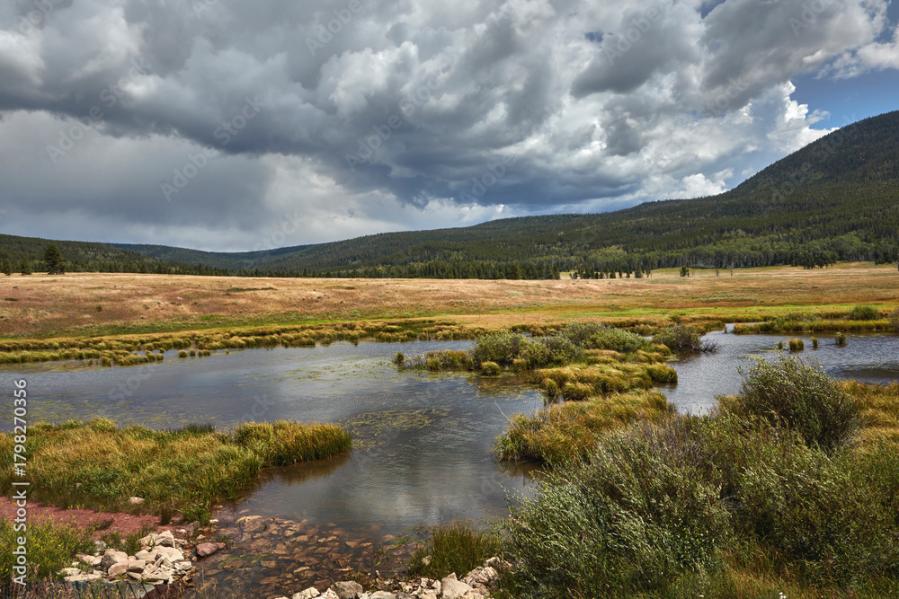 Obraz premium Mountain Wetland Meadow with Clouds over Rolling Hills