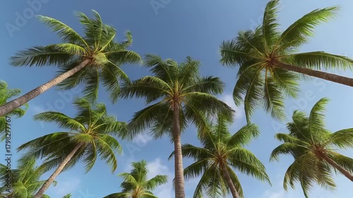 Wallpaper Mural A seamless, looping 3D animation of palm trees swaying in the wind. A beautiful, low-angle shot for summer, vacation, or tropical beach concepts. Torontodigital.ca