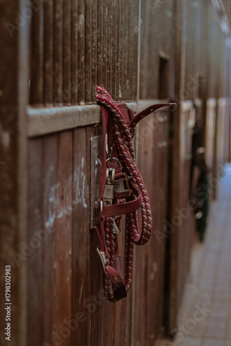Red leather horse bridle hanging on a hook in a rustic stable, surrounded by wooden walls and soft natural lighting, showcasing equestrian equipment and stable ambiance