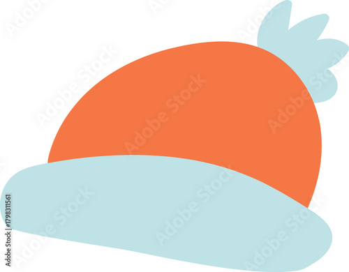 Winter Hat with Pom Pom