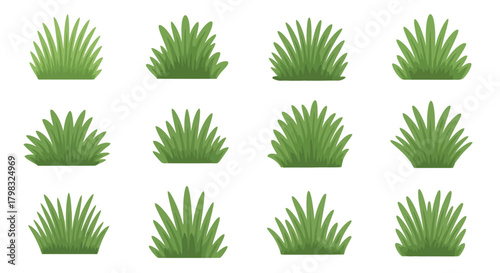 Vector grass clumps illustration for landscape design elements