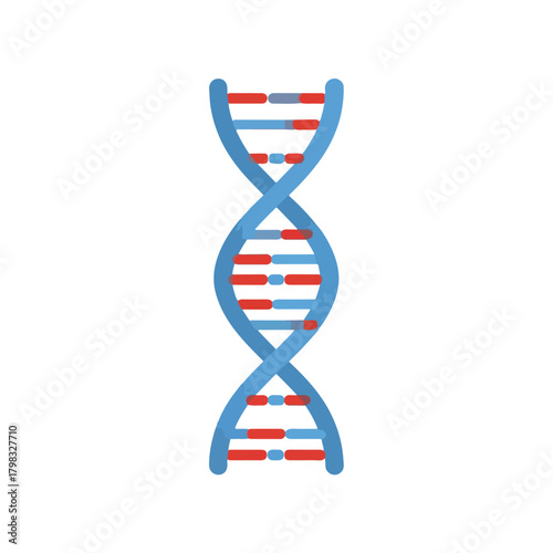 DNA Strand Illustration Blue and Red Genetic Code