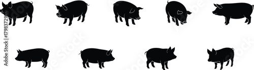 Black pig silhouette set in various poses for farm animal design, livestock icon, butcher shop, agriculture, and rural themes