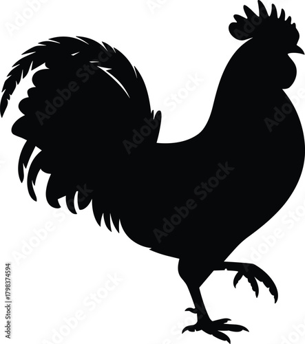 Black rooster silhouette vector illustration representing farm animal, rural agriculture, domestic bird, poultry design, countryside symbol, and traditional barnyard artwork.