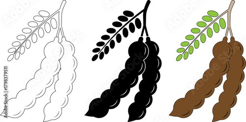 Vector icon set of tamarind pods in outline silhouette and color