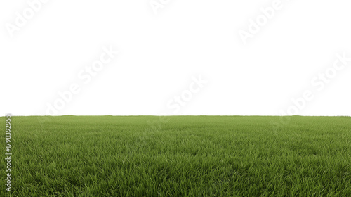 Expansive well-manicured grassy field under diffused natural daylight with a low-angle perspective