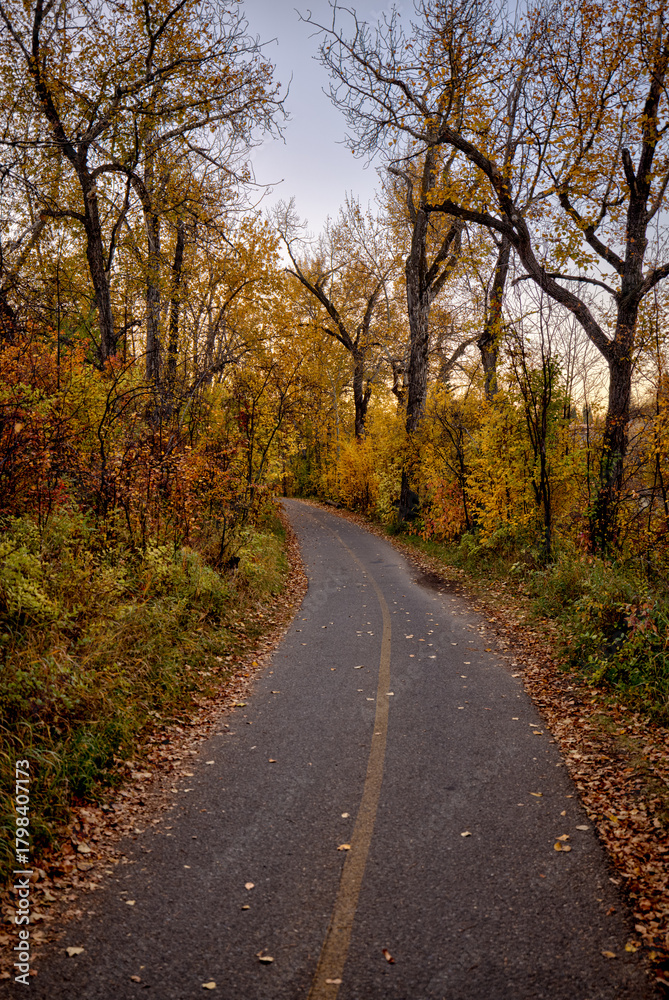 Naklejka premium Calgary, Alberta - October 10, 2025: Fall colours along the river pathways and streets of Rideau and Elbow Park neighborhoods in Calgary, Alberta