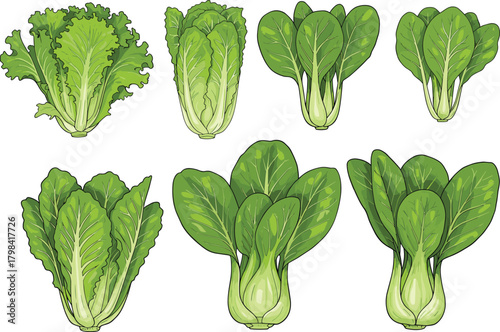 Ancient ceramic vases, cartoon illustration, colorful pottery set, historical artifact design, traditional vessel shapes, educational vector, archaeology theme, child-friendly artwork