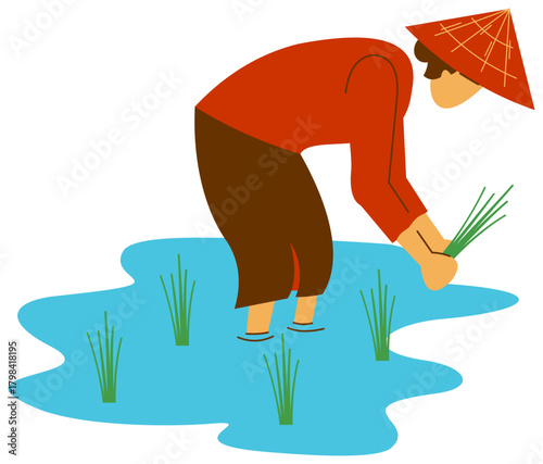 Female Farmer Planting Rice Vector Illustration. Editable color vector