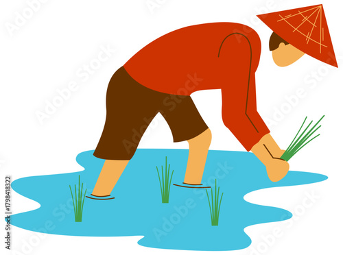 Traditional Farmer Planting Rice in Paddy Field Illustration. Editable color vector