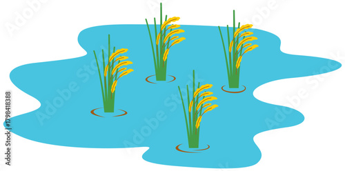Rice Paddy Field | Agriculture Clipart | Farming Landscape Illustration. Editable color vector