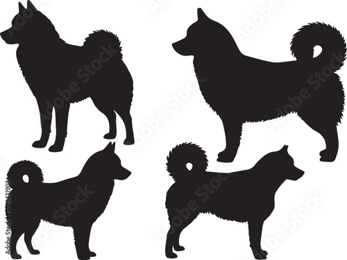 Alaskan Klee Kai Silhouette