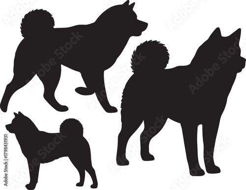 Akita Inu Silhouette