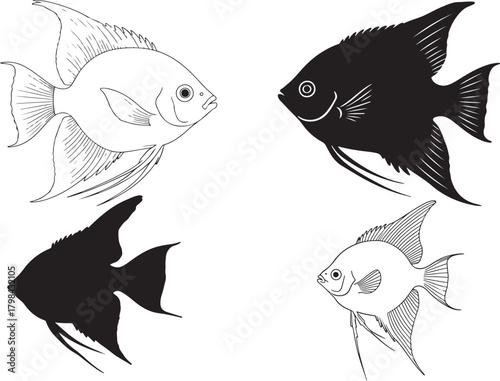 Solid black silhouette vector of Angelfish