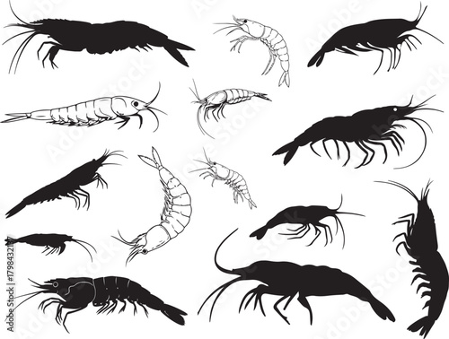 Solid black silhouette vector of Antarctic Krill
